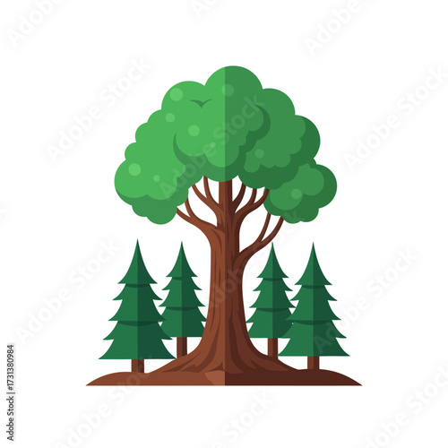 A large tree stands with smaller evergreen trees around it.