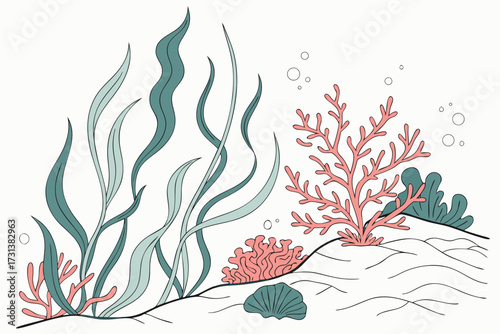 hand drawn seaweed coral