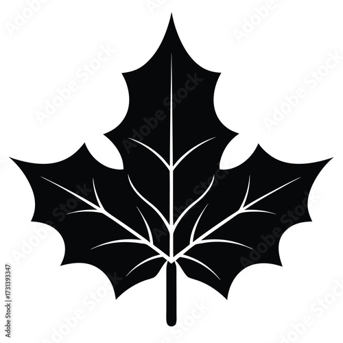 holly leaf silhouette vector icon