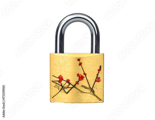 Brass Padlock Isolated on White Background