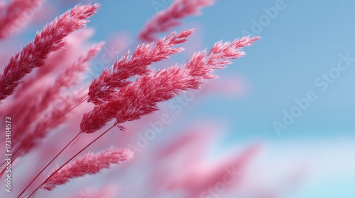 A close-up view of vibrant pink grass swaying gently against a soft blue sky. The contrast of colors creates an eye-catching image. Perfect for nature lovers and artistic inspirations. AI