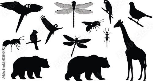 Wild animal and insect silhouettes collection with parrots, dragonflies, giraffe, bear, pigeon, ant, bee, vector design set