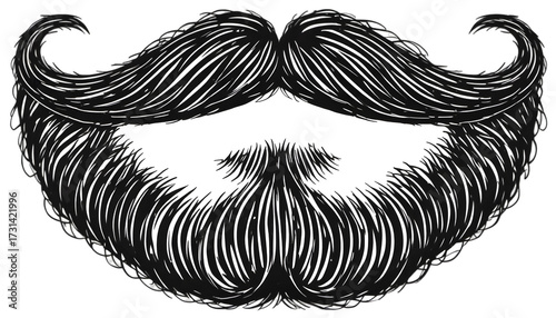 Detailed drawing of a full beard and mustache isolated on transparent background