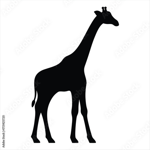 Black Silhouette of a Giraffe with Long Neck on White Background