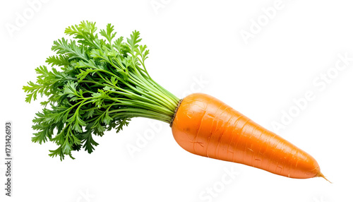 Fresh orange carrot with green leaves isolated on transparent background