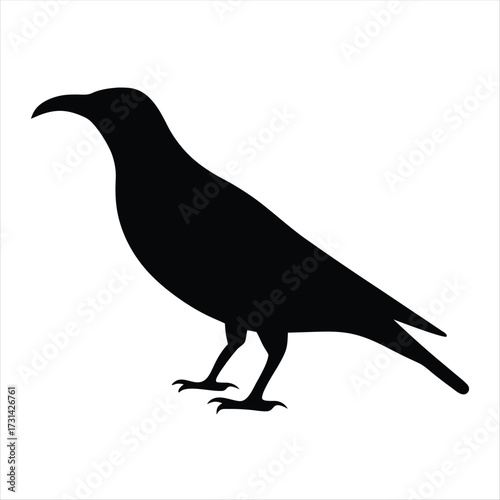Silhouette of a raven, black bird on white background vector image