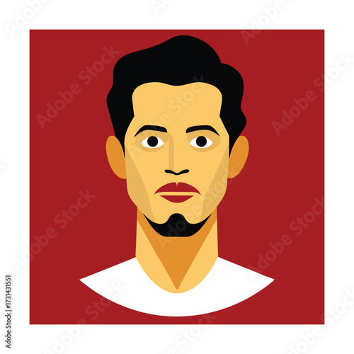 Stylized Male Portrait With Dark Hair And Beard face