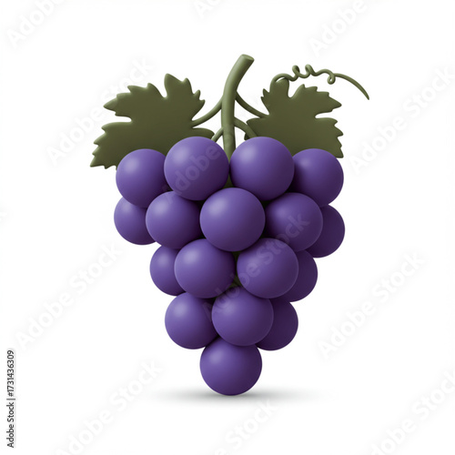bunch of grapes vector illustration