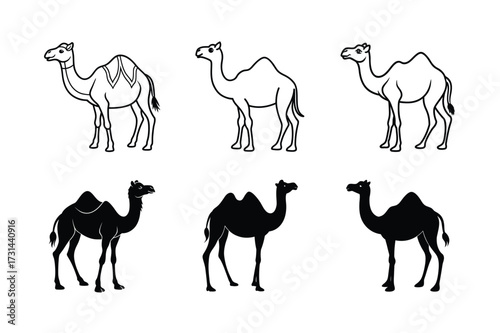 Camel Silhouette and Outline Vector Illustrations – Desert Animal Graphic Set