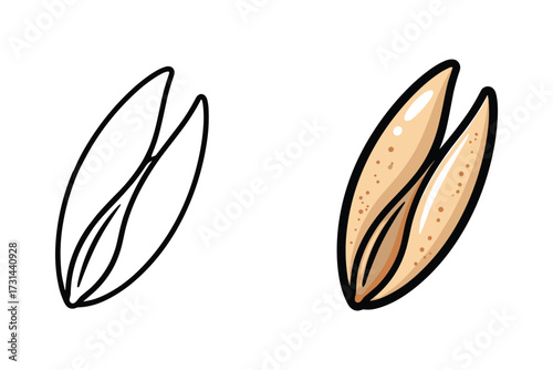 Oat Grain Vector Illustration with Color and Black White Outline