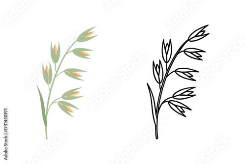 Oat Grain Vector Illustration, Pastel Colors and Outline Style, Isolated Image