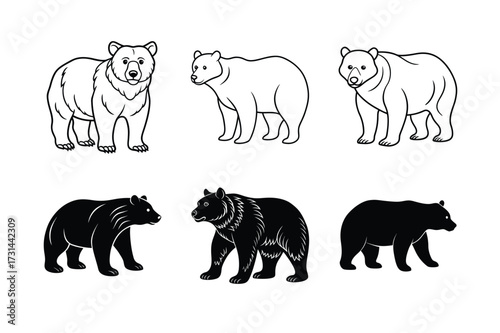 Bear Silhouette and Outline Vector Illustrations – Wild Animal Graphic Set