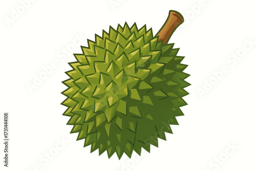 Exploding Durian Fruit Illustration with Spiky Exterior and Brown Stem