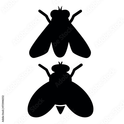 Two black silhouettes of flies against a white background