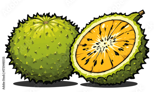 kiwi fruit on a white background vector illustration