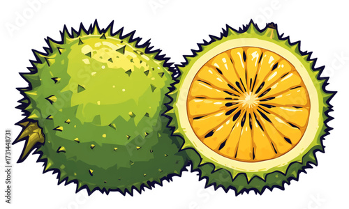 cactus isolated on white background vector illustration