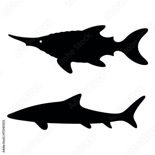 Silhouette of a swordfish and a shark against a white background