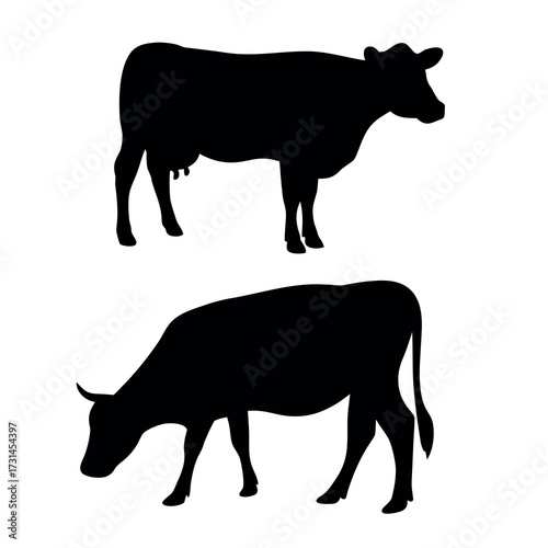 Two black silhouettes of cows standing and grazing on a white background