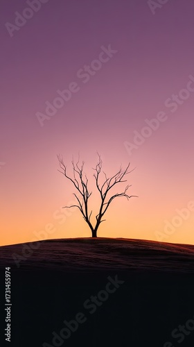 Lonely tree silhouette sunset landscape