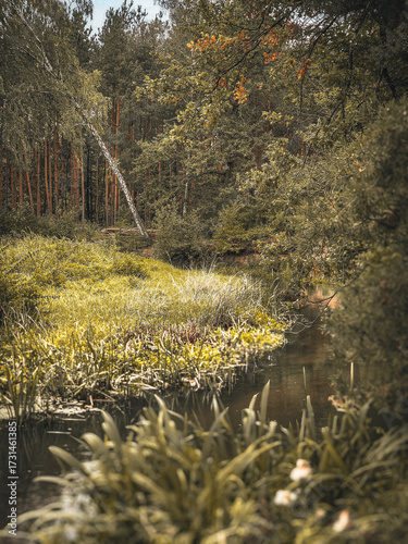 A small river and the surrounding landscape, exemplified by the Grabia River, Poland.