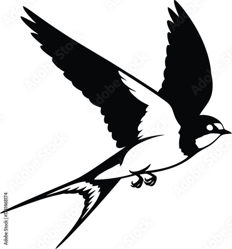 A black and white illustration of a swallow in flight, isolated on white background, showcasing its distinctive forked tail and elegant wing shape in silhouette