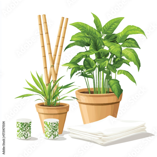  Two potted green plants with bamboo stakes and white cloths