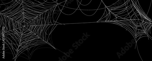 Spider web abstract Halloween background. Vector banner design