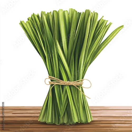 Vibrant bundle of fresh lemongrass tied with twine ready for cooking.