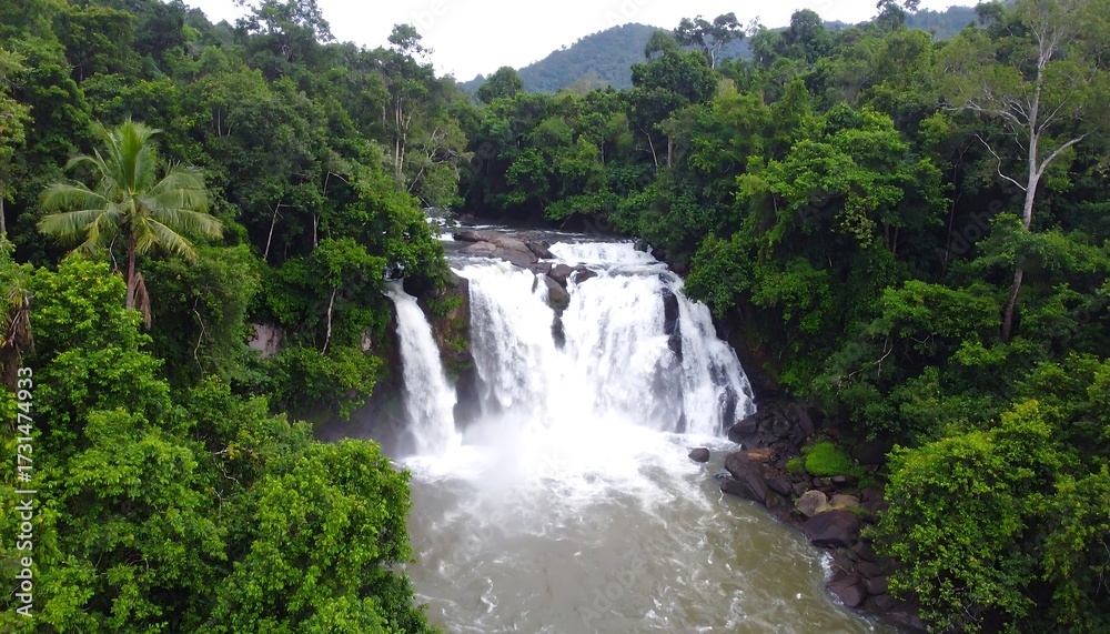 Fototapeta premium Lush waterfall cascading through dense jungle