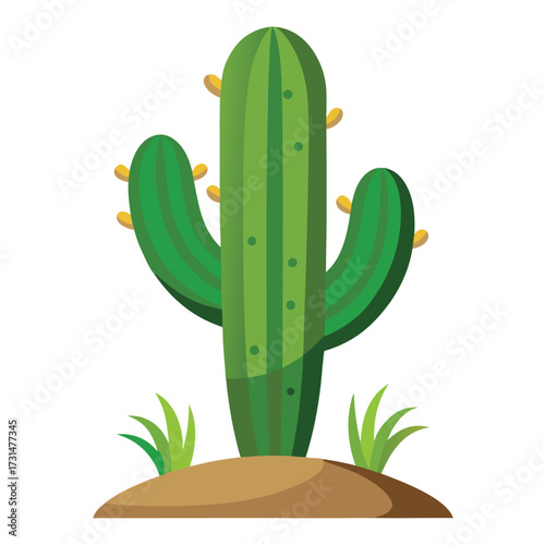 cactus desert plant vector illustration on white b.eps