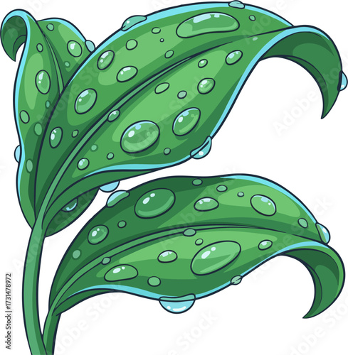 Moisture Green Leaves with Water Droplets Vector, Curved Leaf Design