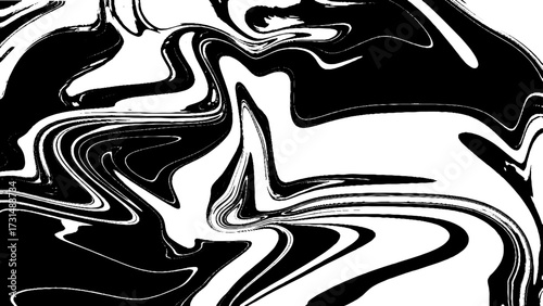 Monochrome Abstract Marble Fluid Painting Texture Black And White. Black and White Abstract Digital Background with Interweaving Curved.
