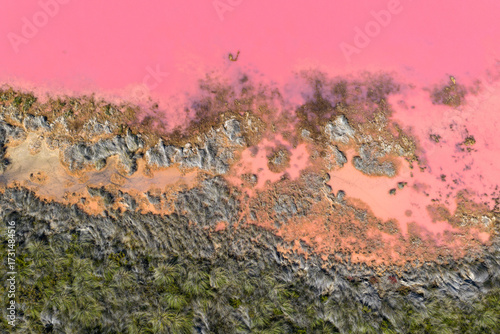 Hutt Lagoon a natural pink lake at Port Gregory near Kalbarri, Western Australia. Extraction of microalgae for beta-carotene, from pink algae Dunaliella salina for food, beverages, supplements