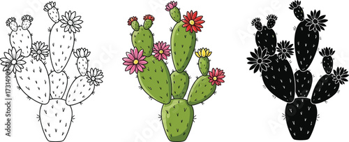 Prickly pear cactus in line art, color, and silhouette illustration