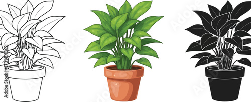 Potted houseplants in outline, color, and silhouette illustration