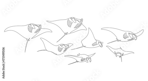 Manta Rays Graceful Ballet A minimalist outline of ocean life in monochromatic