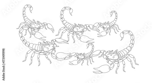 Complex Scorpion Dance An Illustration of Interconnectedness and Intricacy