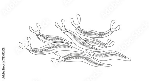 Illustration of a Slug Cluster in a Unique Arrangement on White Background