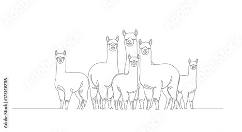 Flock of Alpacas in Line Art Style A Herd of Graceful South American Camelids