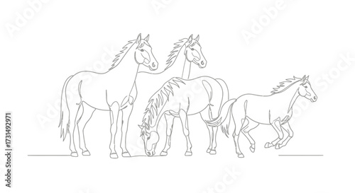 Herd of Horses Drawn with Single Continuous Line Grazing and Standing