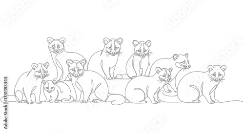 Group of Cute Civets Together in Black and White Outline Illustration