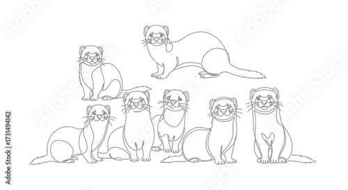 Adorable Ferret Collection Detailed Line Art Illustrations for Animal Lovers and Creative Projects