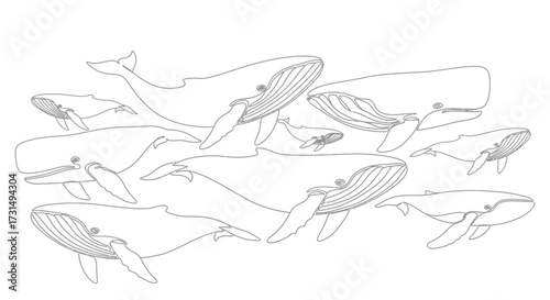 Illustrative depiction of various whales swimming gracefully as a cohesive pod