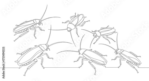 Clean Vector Art Depicting Multiple Cockroaches in Different Stages of Motion