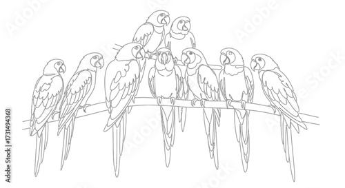 Outline drawing of a cheerful flock of exotic parrots perched on a sturdy branch
