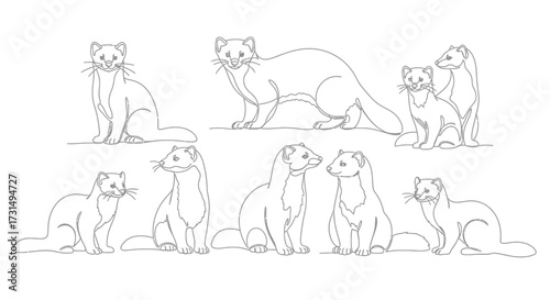 Playful Ferrets Captured in Action, Sketch Illustration, Animal Kingdom, Creative Artwork, Whimsical Environment, Artistic Viewpoint