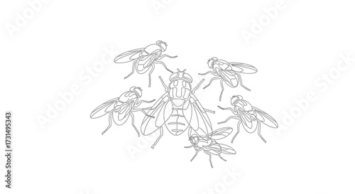 Swarming Flies Engage in Dynamic Interaction, Insects in Scientific Observation, Abstract Illustration, Minimalist Design, Close-up Viewpoint
