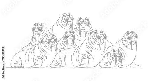 Group of Walruses Relaxing Together in the Arctic Ocean Illustration for Wildlife Awareness Campaign