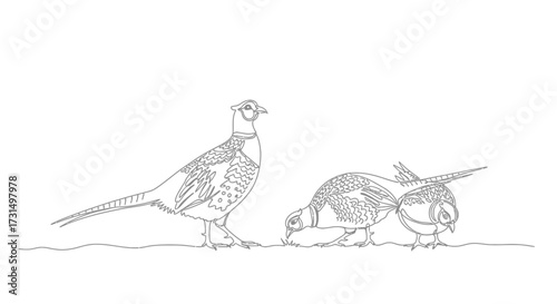 Pheasants foraging in a Natural Habitat, Illustration, Serene Environment, Artistic Viewpoint, Captivating Concept