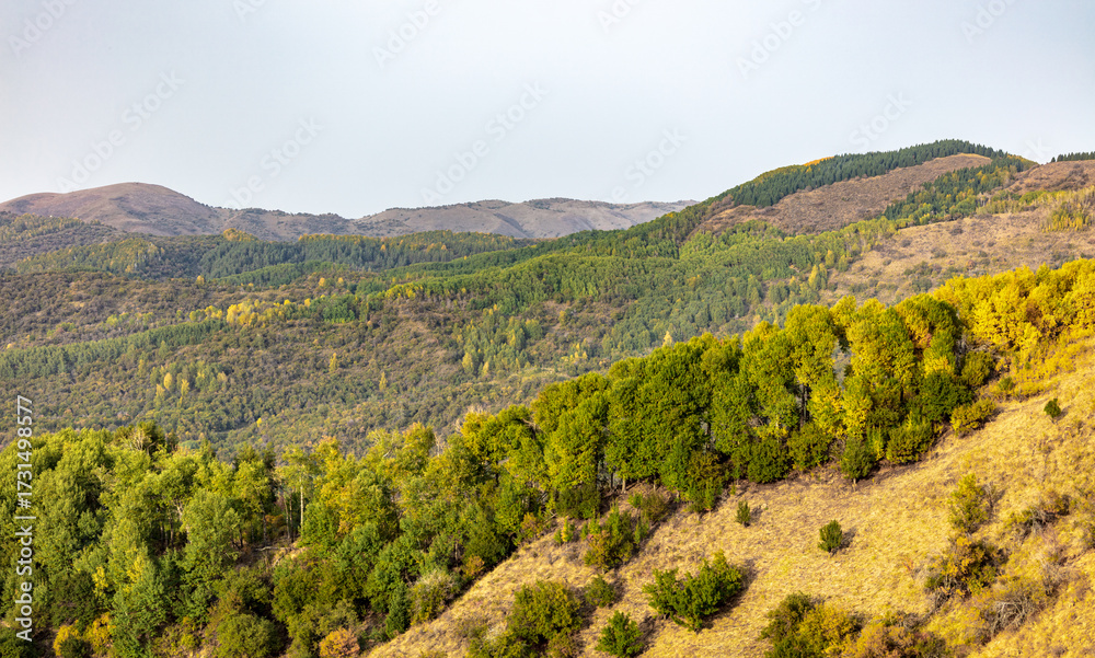 Fototapeta premium view of the mountains in the morning